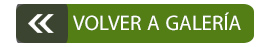 volver a la galeria